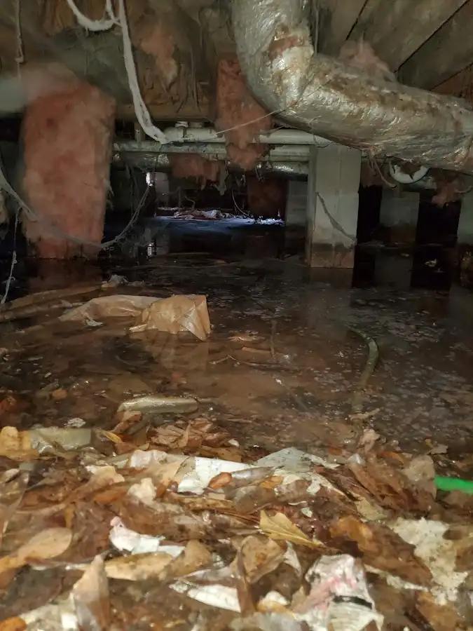 Crawl space flood assessment for Leak Detection & Repair in Fallbrook