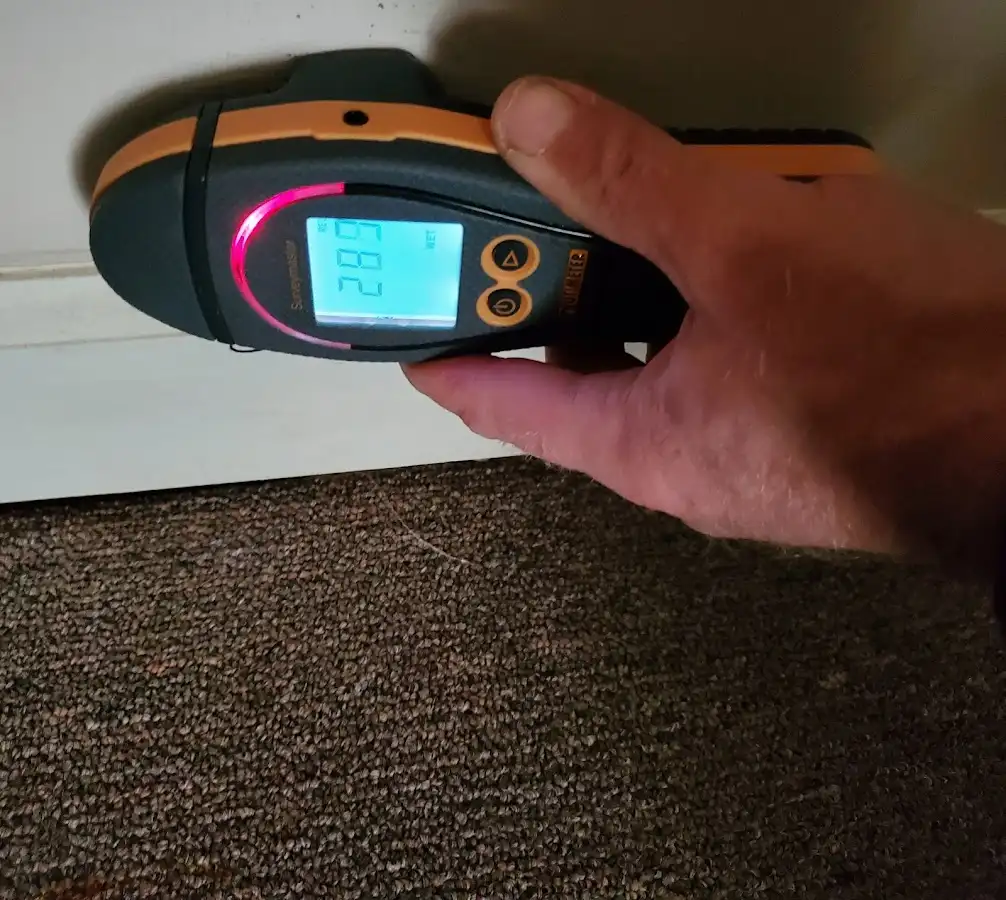 Moisture detection at baseboard during Sewage Cleanup & Sanitation in Fallbrook